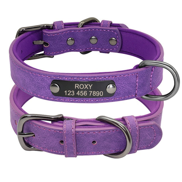 Dog Collar
