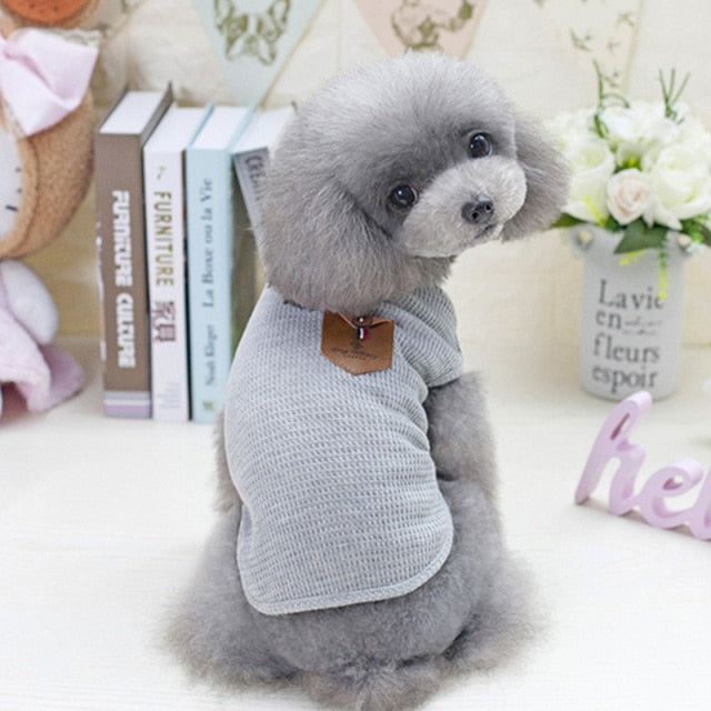 Dog Clothes