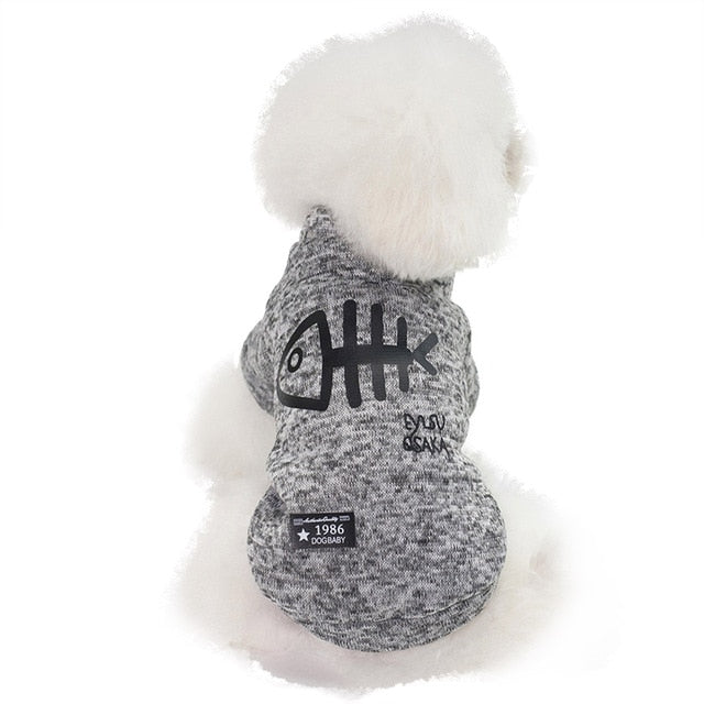 Dog Clothes