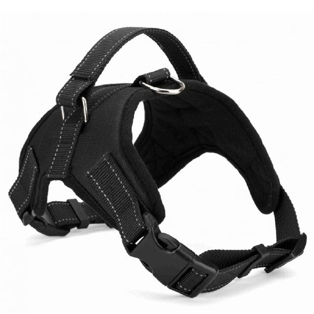 Harness Collar