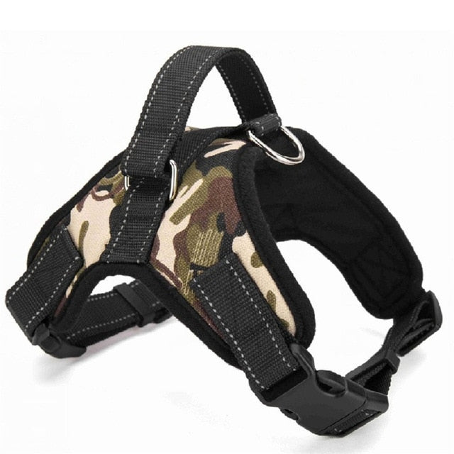 Harness Collar