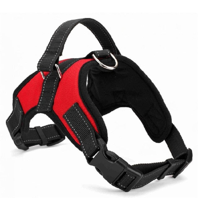 Harness Collar