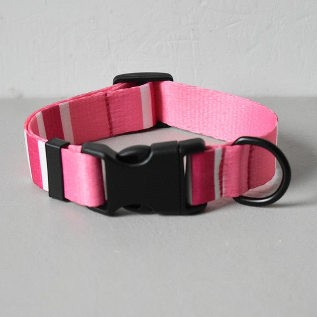 Dog Collar