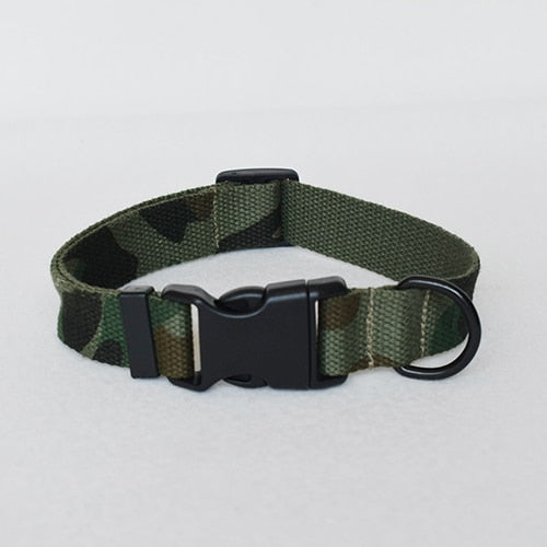 Dog Collar