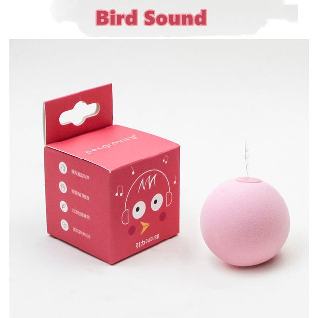 Cat Toys Interactive Ball