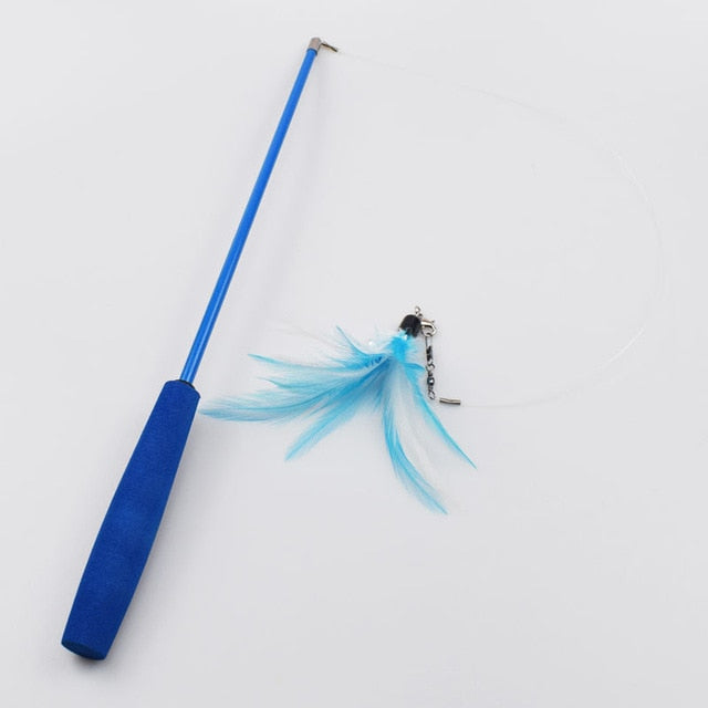 Feather Toy