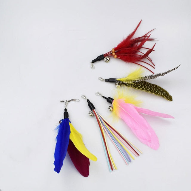 Feather Toy