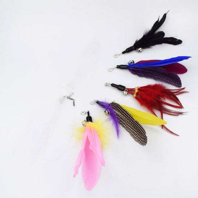 Feather Toy