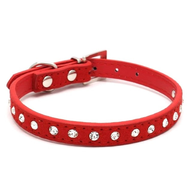 Cats Collars