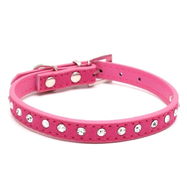 Cats Collars