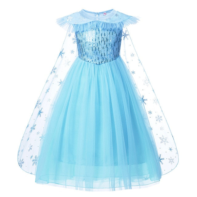 Disney Princess Elsa Winter Dress