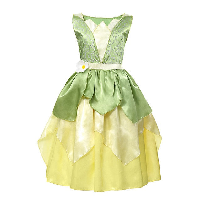 Disney Princess Elsa Winter Dress