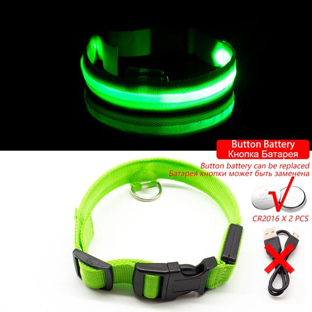 Led Dog Collar