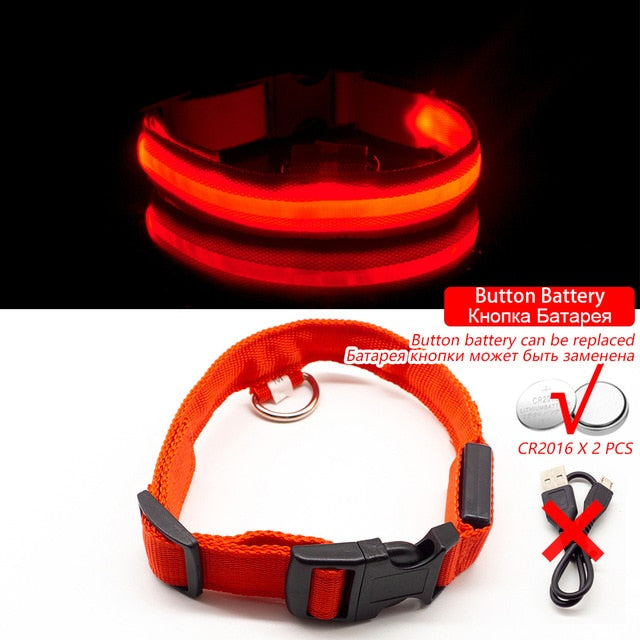 Led Dog Collar