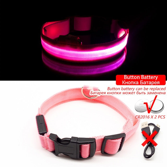 Led Dog Collar