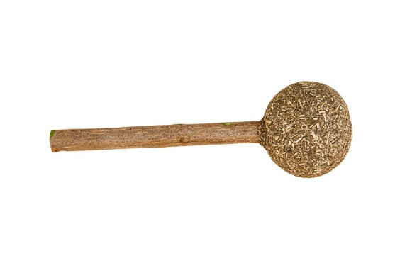 Cat Toys