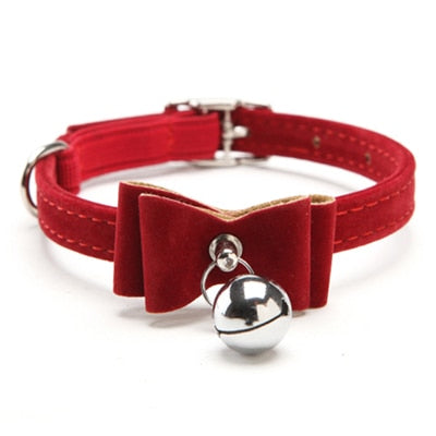 Elastic Bowtie with bell collar