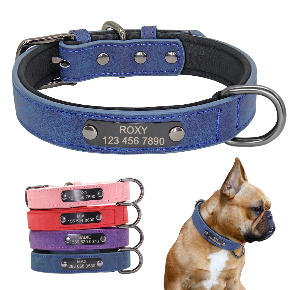 Dog Collar