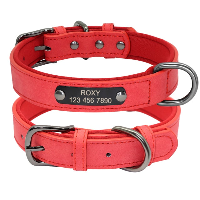 Dog Collar