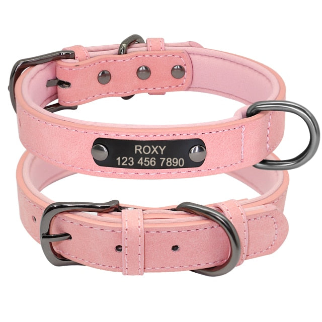Dog Collar