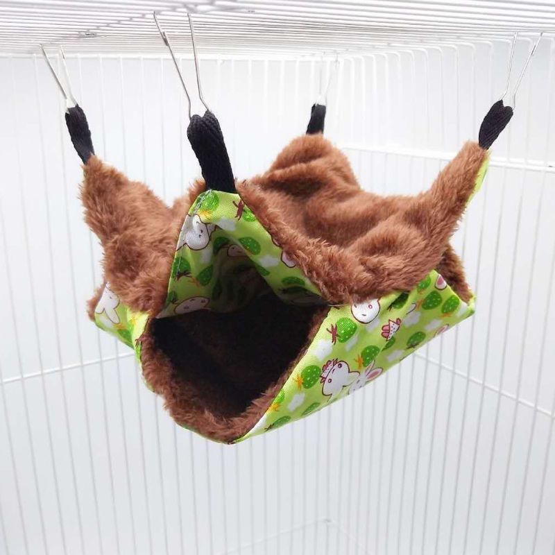 Squirrel Chinchilla House