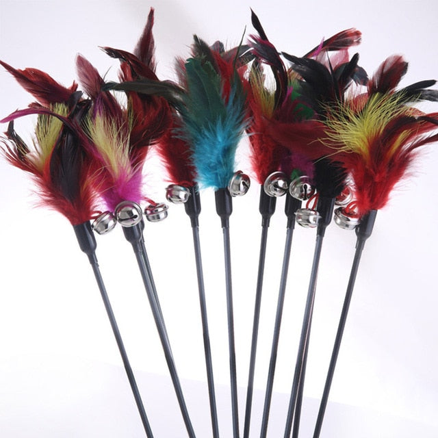 Feather Stick Toy