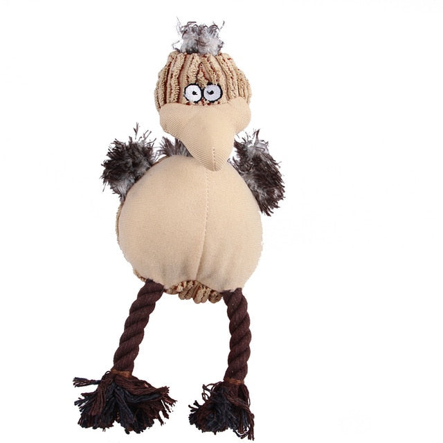 Squeaky Toy