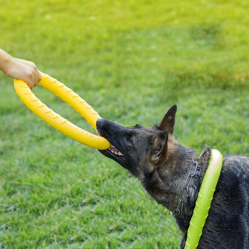 Pet Flying Discs
