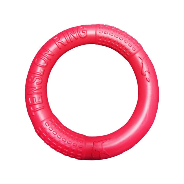 Pet Flying Discs