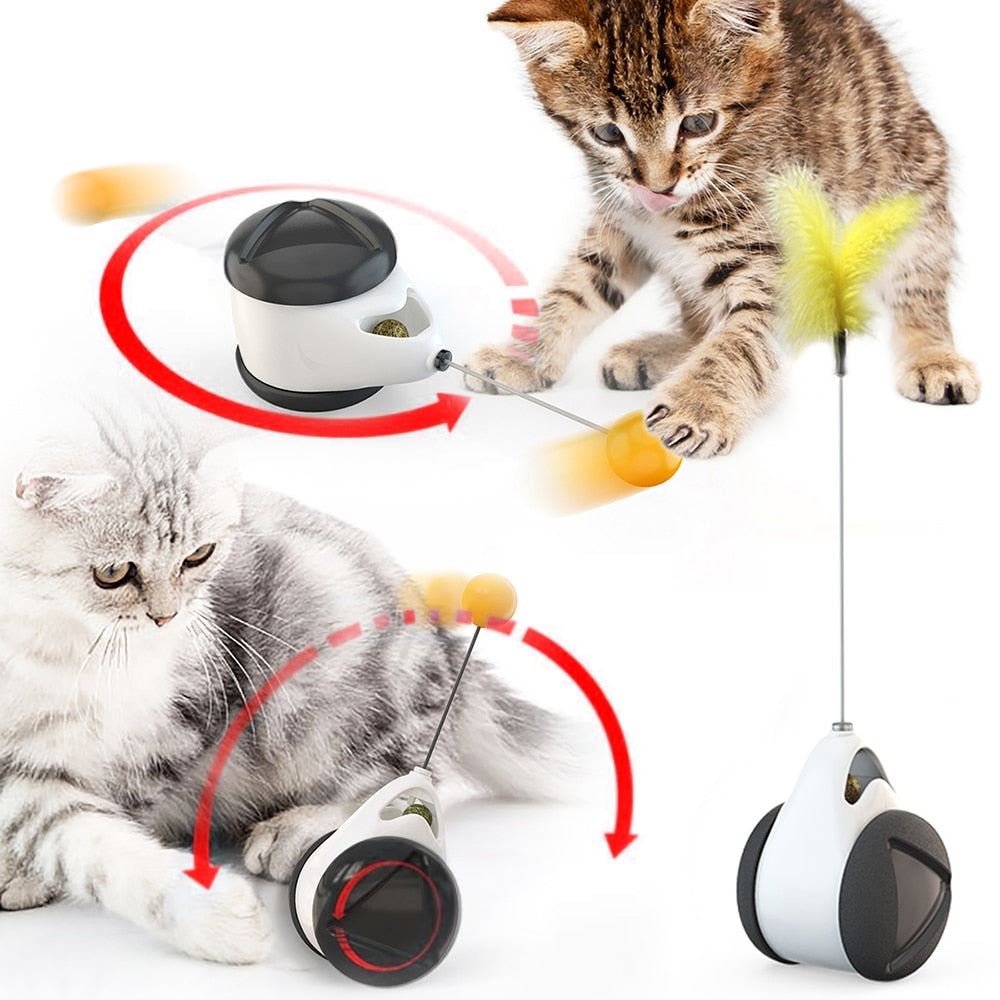 Tumbler Swing Toys