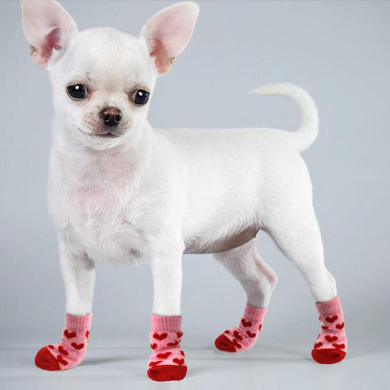 Puppy Dog Socks