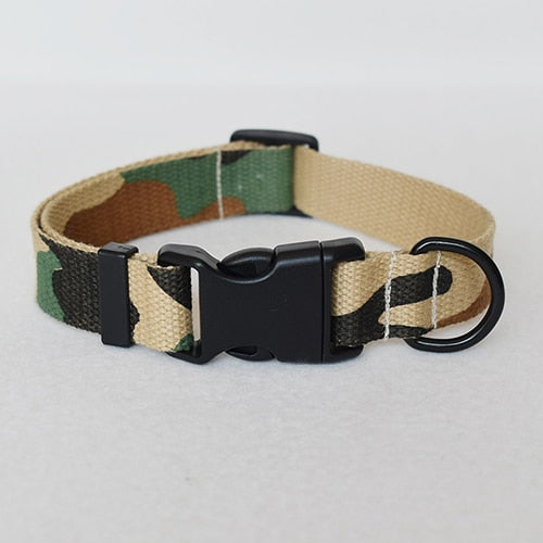 Dog Collar