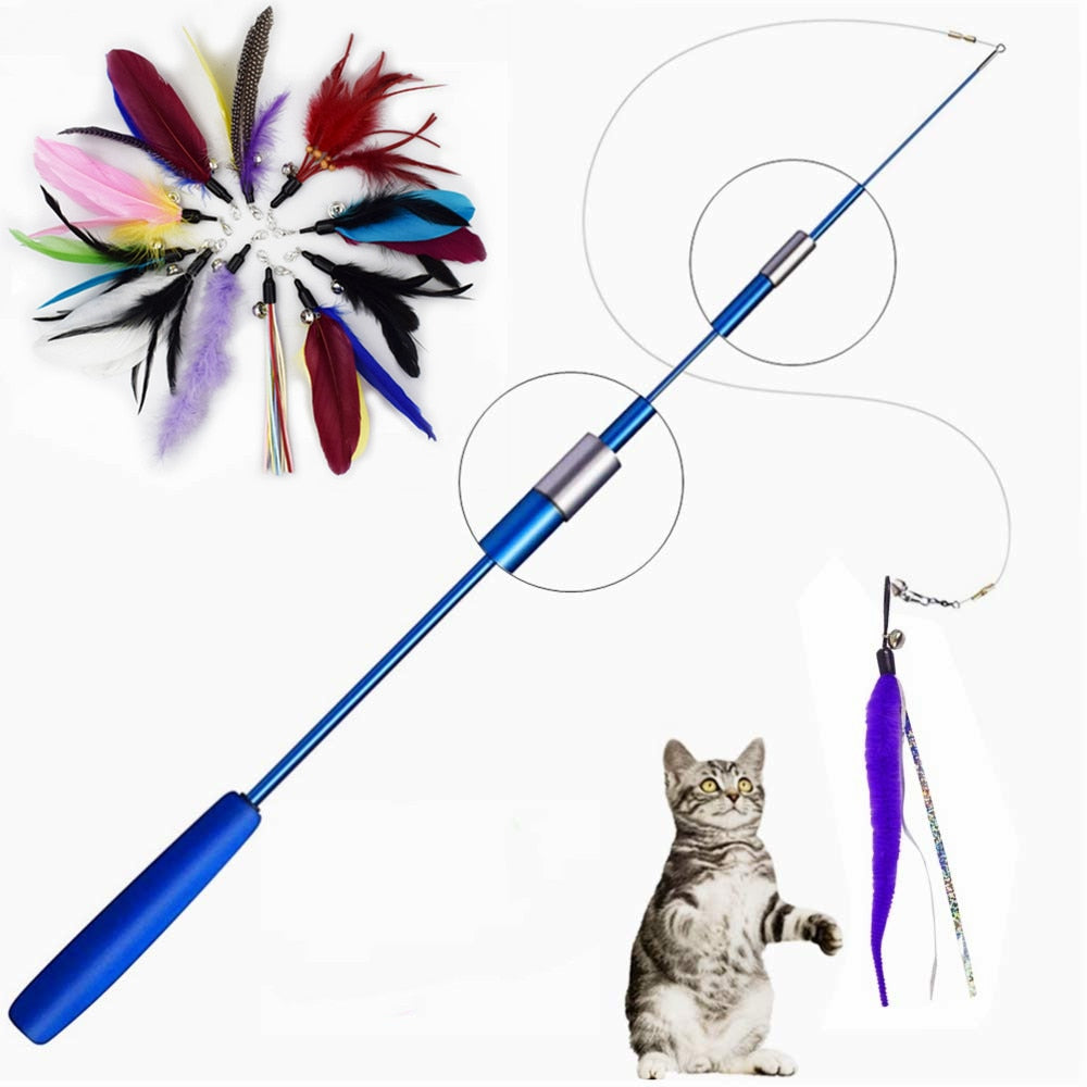 Feather Toy