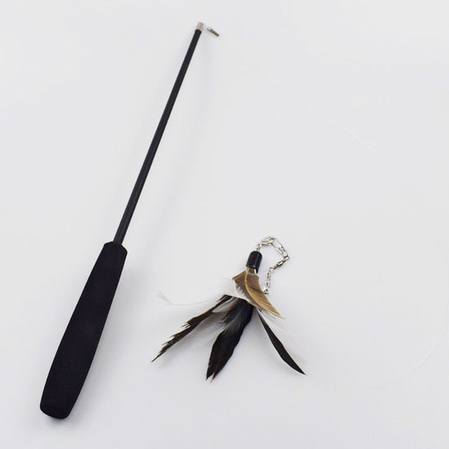 Feather Toy