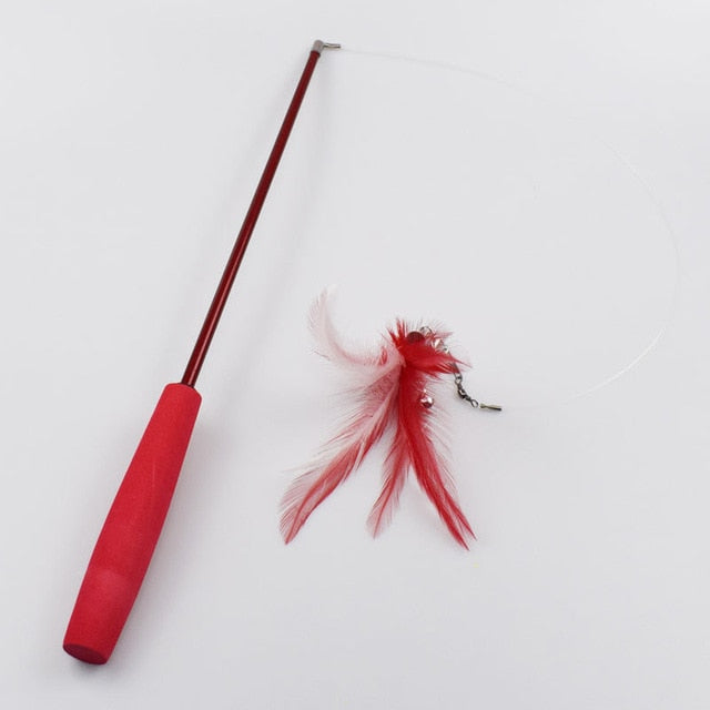 Feather Toy