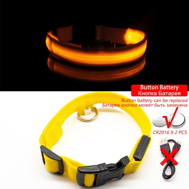 Led Dog Collar