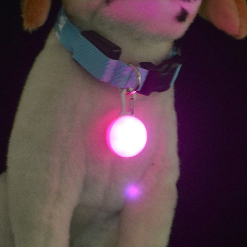 LED Collar
