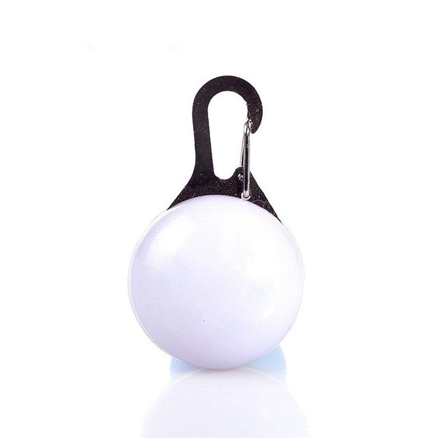 LED Collar