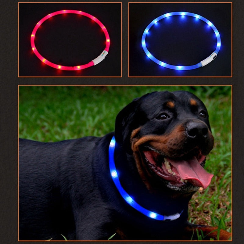 Adjustable Silicone LED Collar